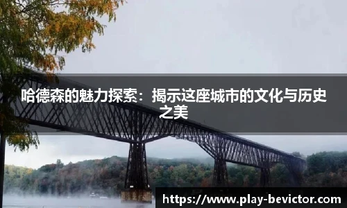 哈德森的魅力探索：揭示这座城市的文化与历史之美
